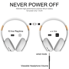 Ultra Long Battery Life Bluetooth 5.0 Wireless Stereo Headphones - The Beast Protein Hub