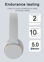Ultra Long Battery Life Bluetooth 5.0 Wireless Stereo Headphones - The Beast Protein Hub